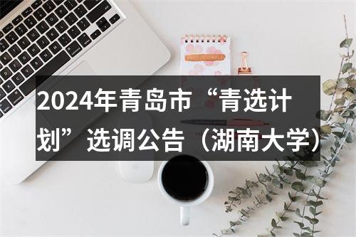 2024年青岛市“青选计划”选调公告（湖南大学） 图片