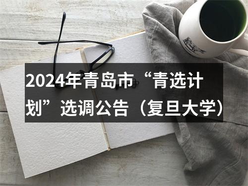 2024年青岛市“青选计划”选调公告（复旦大学） 图片