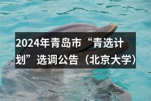 2024年青岛市“青选计划”选调公告（北京大学） 图片