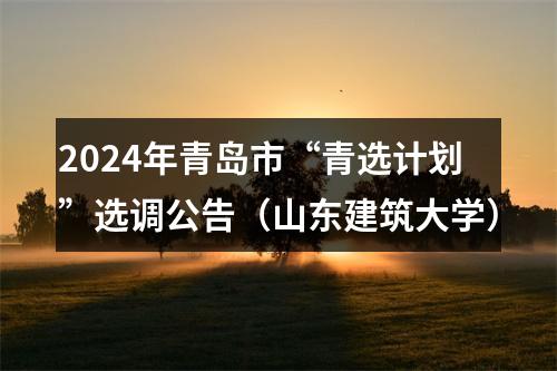2024年青岛市“青选计划”选调公告（山东建筑大学） 图片