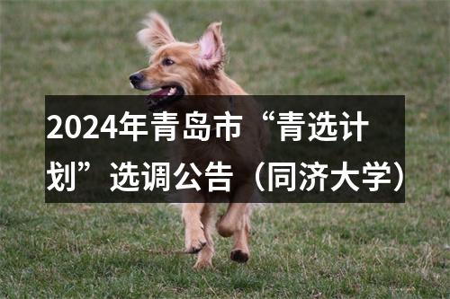 2024年青岛市“青选计划”选调公告（同济大学） 图片