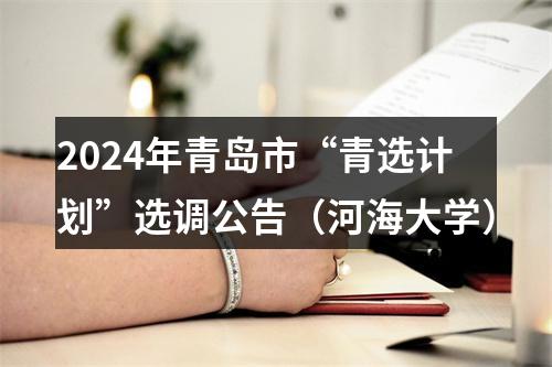2024年青岛市“青选计划”选调公告（河海大学） 图片