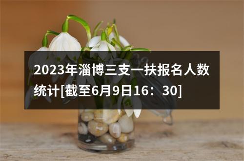2023年淄博三支一扶报名人数统计[截至6月9日16：30] 图片