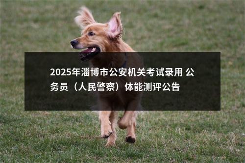 2025年淄博市公安机关考试录用 公务员（人民警察）体能测评公告 图片