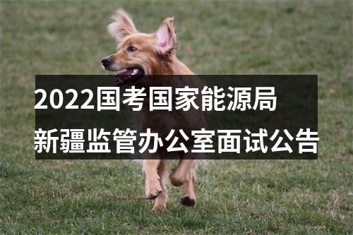 2022国考国家能源局新疆监管办公室面试公告 图片