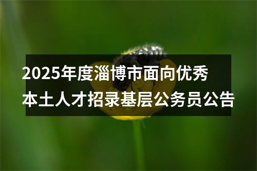2025年度淄博市面向优秀本土人才招录基层公务员公告 图片