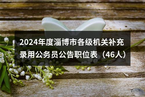 2024年度淄博市各级机关补充录用公务员公告职位表（46人） 图片