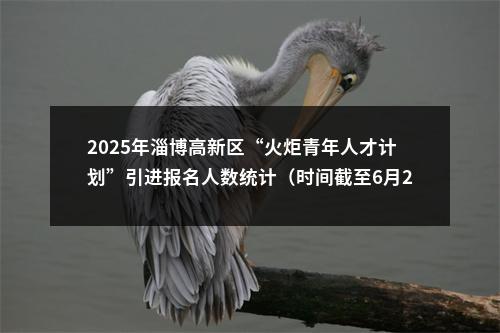 2025年淄博高新区“火炬青年人才计划”引进报名人数统计（时间截至6月26日下午5点） 图片