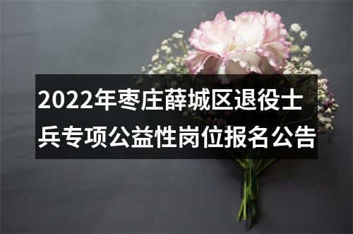 2022年枣庄薛城区退役士兵专项公益性岗位报名公告 图片
