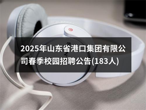 2025年山东省港口集团有限公司春季校园招聘公告(183人) 图片