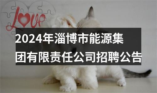2024年淄博市能源集团有限责任公司招聘公告 图片